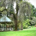 Wombat Hill Botanical Gardens
